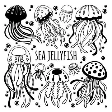 Black and white vector set jellyfish-1 Stock Illustration