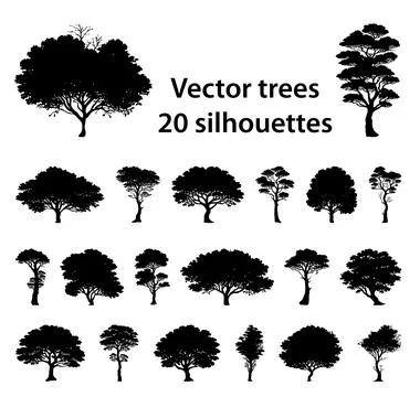 Black and white vector silhouette tree Stock Illustration