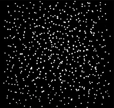 Black and white vector texture, a lot of small white dots that are larger in the Stockillustratie