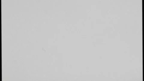 Black and White VHS defects, Artifacts, Noise, Film dust, and Hair. Flickering  Stock Footage 155627353