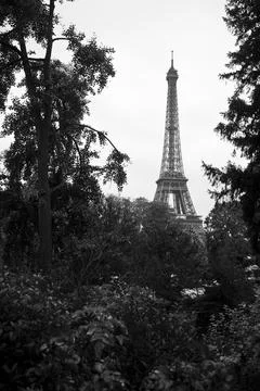 A black and white view of the Eiffel Tower in Paris. Stock Photos