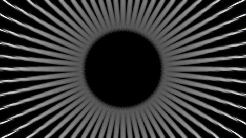 Black and White Visual Stock Footage 110691540