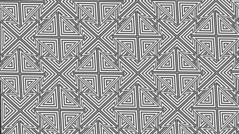 Black and white wallpaper. Stock-Footage 308231240