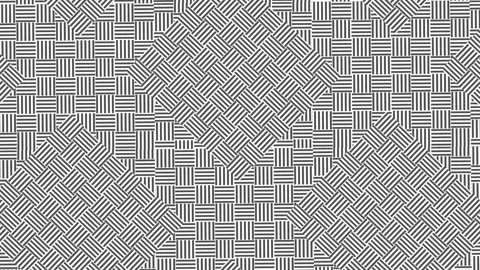 Black and white wallpaper. Stock Footage 308231252