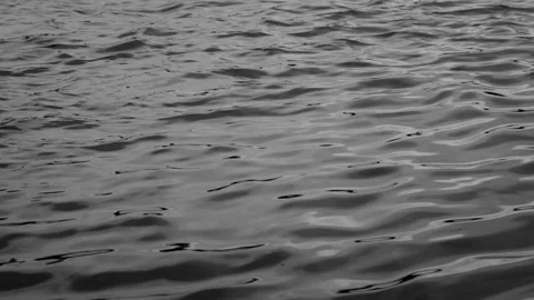 Black-and-White Water Surface Stock Footage 89240399