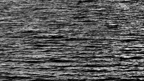 Black and white waves creating a textured ocean surface. Stock Footage 308608989