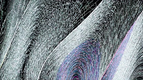 Black and white web effect animation background Video stock 208588702