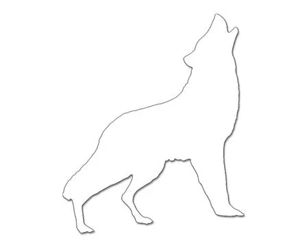 Black and white wolf howling outline template isolated on white background 스톡 일러스트