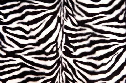 Black and White Zebra Pattern Stock Photos