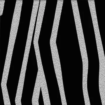 Black and white zebra texture Stock Illustration