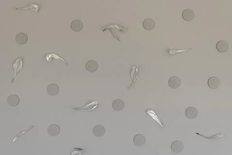 Black and white zero waste floral pattern Stock Photos