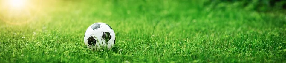 Black and whithe ball lying on green grass Stock Photos