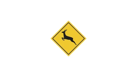Black and yellow traffic warning sign with little dear, Eudyptula minor, wa.. Video stock 322967064