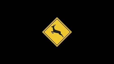 Black and yellow traffic warning sign with little dear, Eudyptula minor, wa.. Stock Footage 322967072