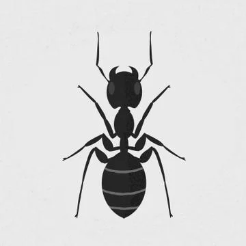Black ant , eps10 vector format Stock Illustration
