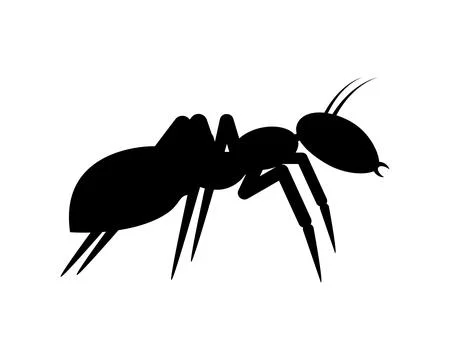 Black ant logo design. Vector illustration and icon.  Stock Illustration