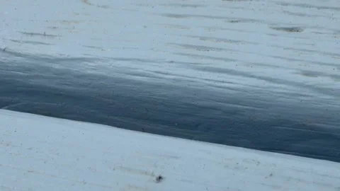 Black ant navigating painted wood gap detail Stock Footage 331882980