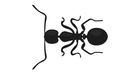 Black ant vector illustration. Stock Illustration