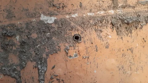 Black ant walking on the orange painted wall. Ants in and out of the hole Stock Footage 293787041