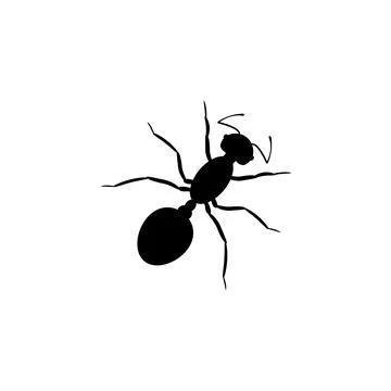 Black ant worker silhouette. An insect with six legs and powerful jaws Stock Illustration