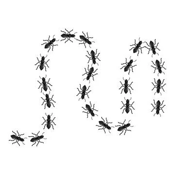 Black ants creating number zero on white background Illustrazione stock