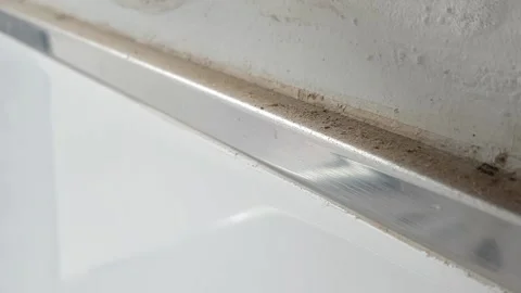 Black ants indoors, close up Stock Footage 174182948