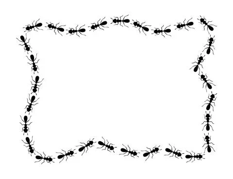 Black ants square border. Ants forming rectangular shape isolated in white Illustrazione stock