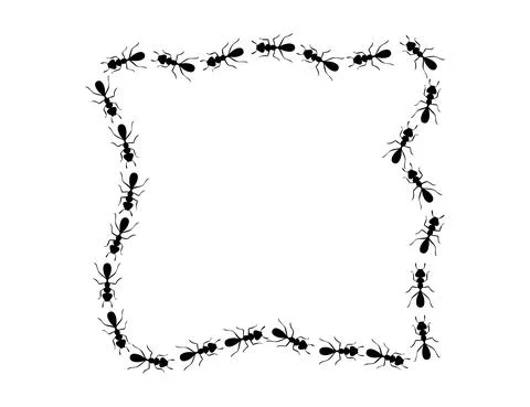 Black ants square border. Ants forming rectangular shape isolated in white Illustrazione stock
