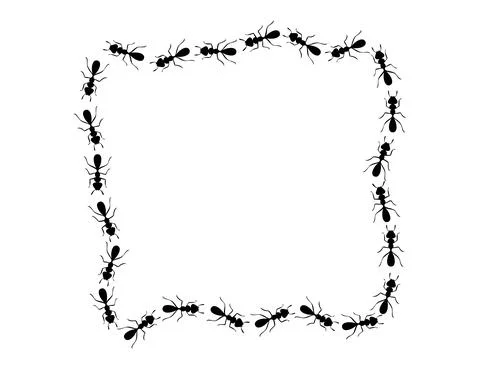 Black ants square border. Ants forming rectangular shape isolated in white Stock Illustration