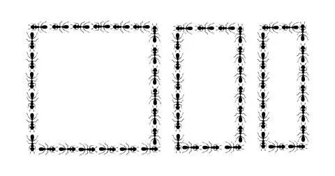 Black ants square border. Ants forming rectangular shape isolated in white Stock Illustration