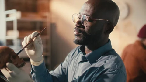 ​​Black Archaeologist Brushing Human Skull during Laboratory Research Stock Footage 296518469