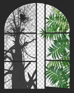 Black arched window frame with silhouette of dead tree spiderweb and vibran.. 库存照片