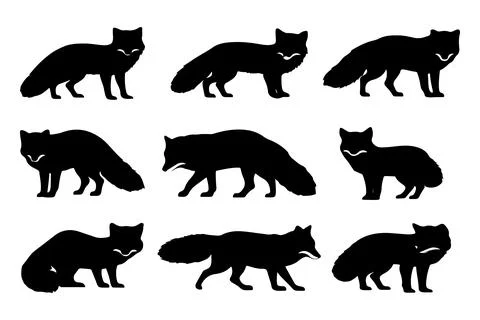 Black Arctic fox silhouette vector illustration Illustrazione stock