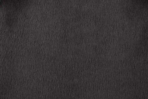 Black artificial fur texture for background. Dark furry coat background. Em.. Stock Photos
