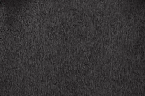 Black artificial fur texture for background. Dark furry coat background. E... Stock Photos