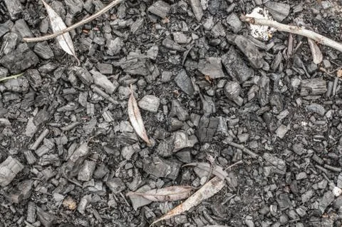 Black ashes or charcoal texture, background Stock Photos