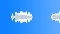 Black-backed jackal calling Sound Effect
