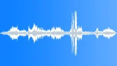 Black-backed jackals calling in the African night Sound Effect