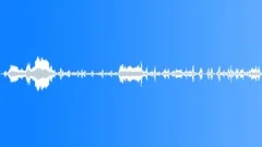 Black-backed jackals calling with noisy crowned plovers in the African night Sound Effect