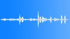 Black-backed jackals calling Sound Effect