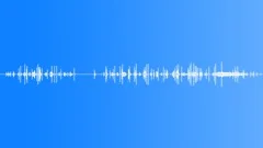 Black Backed Woodpeckers Feed in old growthSound Effect