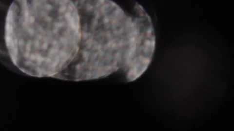 Black background and sparkling abstract crystal bokeh light glow Video stock 318824295