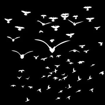 Black background birds life vector art Illustrazione stock