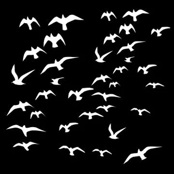 Black background birds life vector art 스톡 일러스트