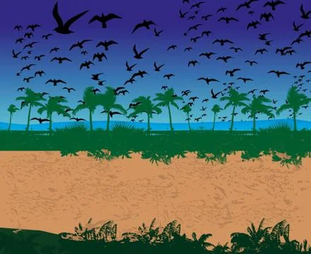 Black background birds life vector art Illustrazione stock