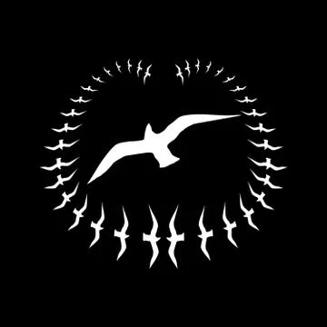 Black background birds life vector art Illustrazione stock