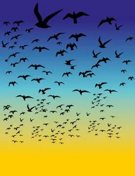 Black background birds life vector art Illustrazione stock