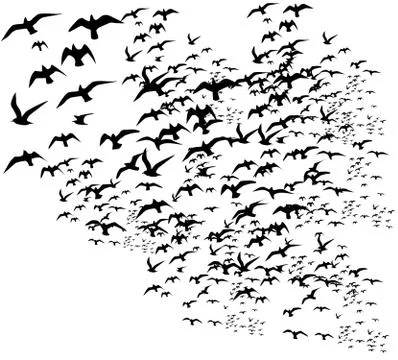 Black background birds life vector art Illustrazione stock