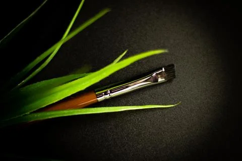 Black background with brush Stock Photos