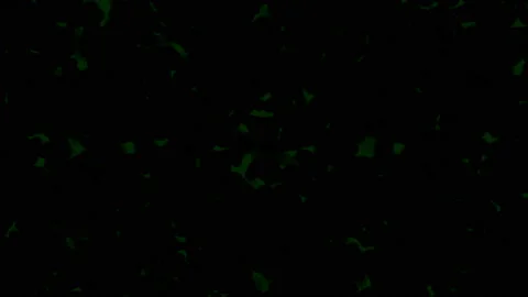 Black background crumbles on green screen 스톡 동영상 90525939